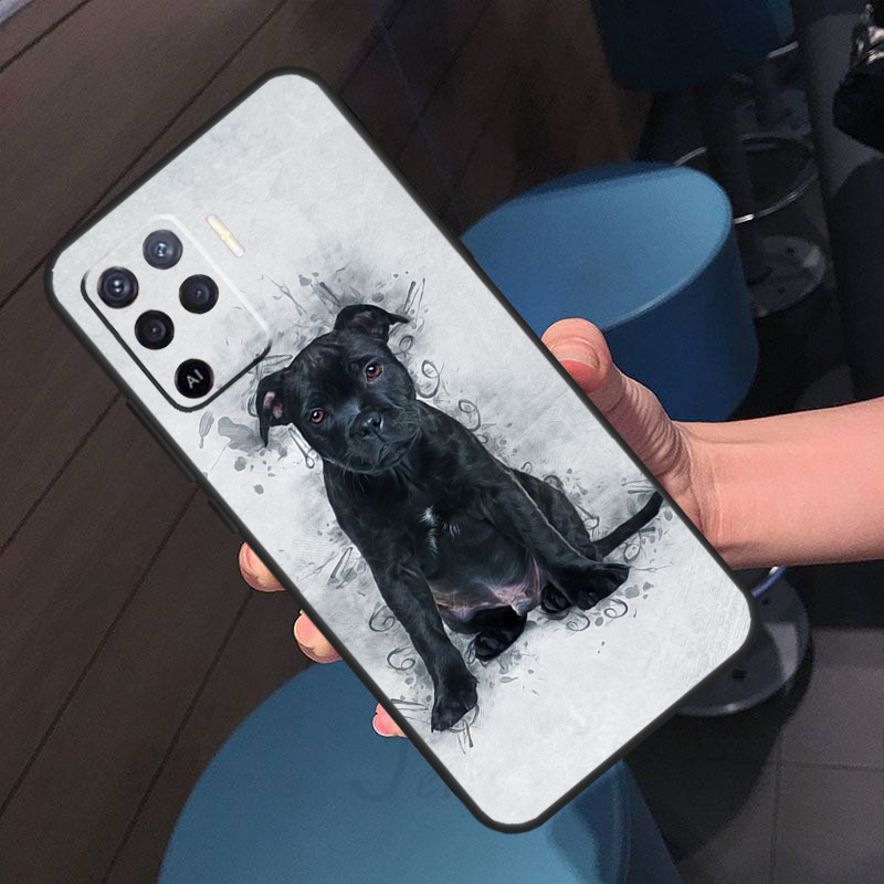 Staffordshire Bull Terrier Köp - Oppo A78 incelemesi ve fiyatı